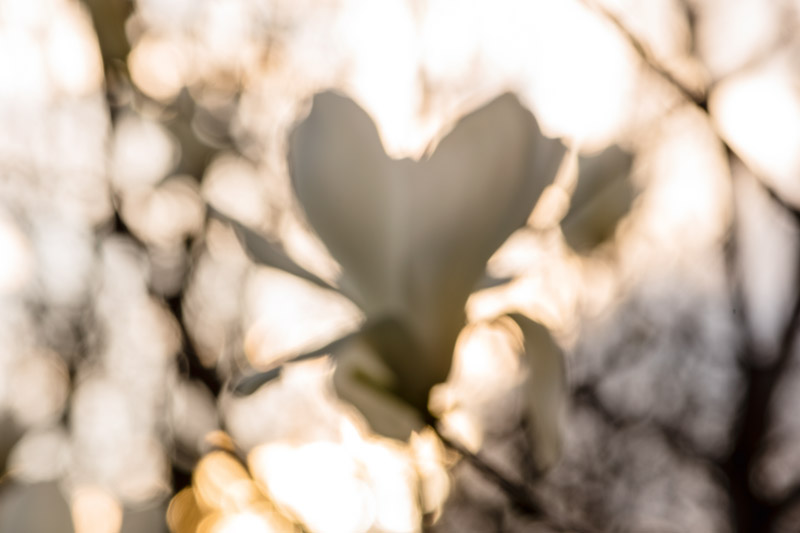 Jutta_Bildband_4_33